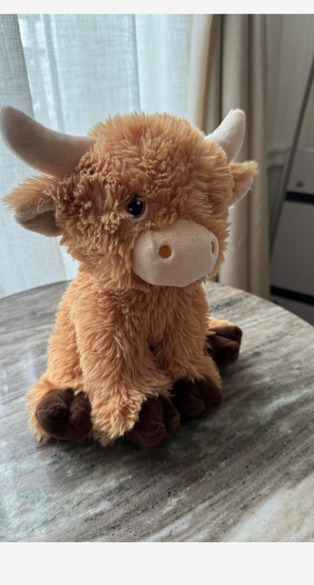 Photo du compagnon de l’enfant